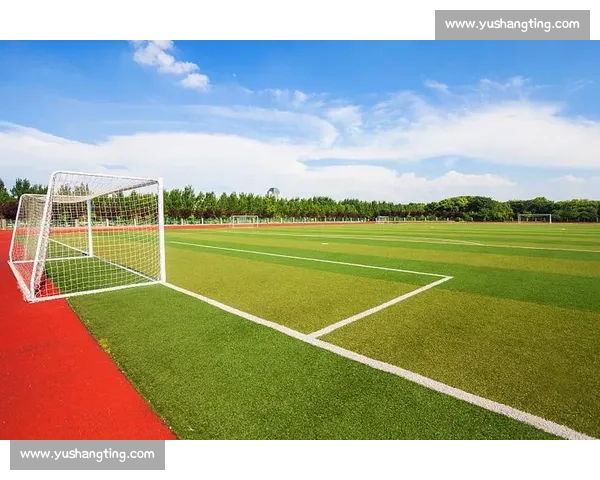 秦皇岛笼式足球：小场地踢活体育消费大市场